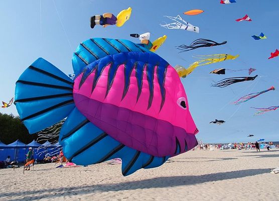 VII Festiwal Latawców w Łebie