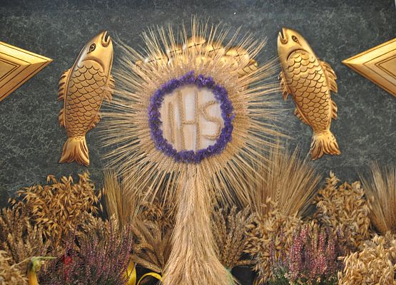 XVII Dożynki Powiatowe za nami