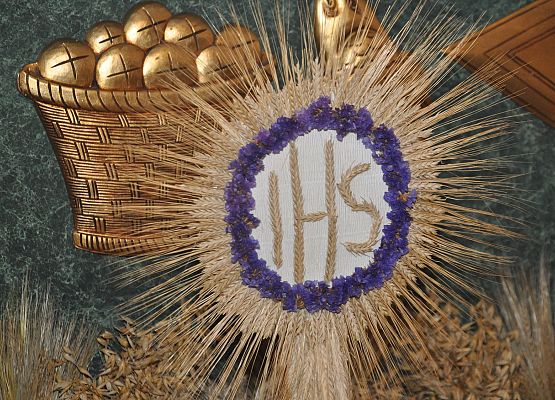 XVII Dożynki Powiatowe za nami