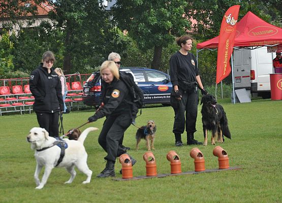 XVII Dożynki Powiatowe za nami