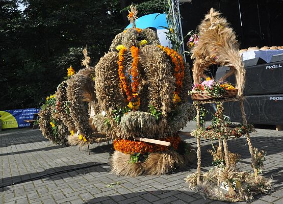 Konkurs na najładniejszy