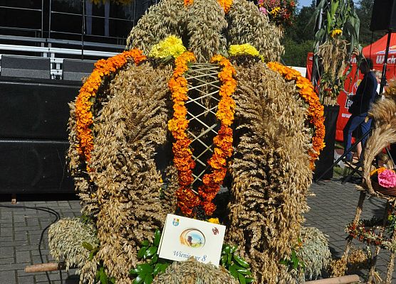 Konkurs na najładniejszy