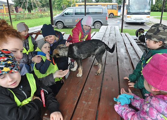 Piknik Jesienny Stowarzyszenia