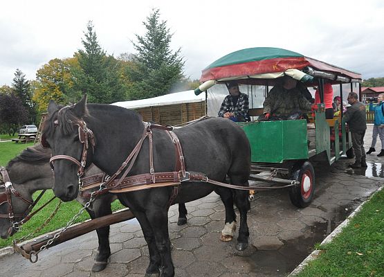 Piknik Jesienny Stowarzyszenia