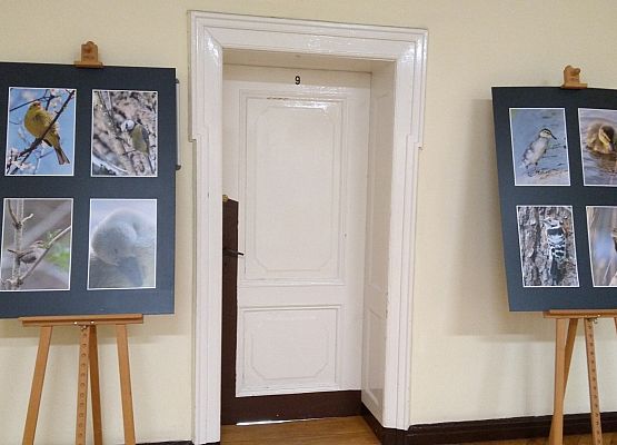 Nowa wystawa w holu Starostwa