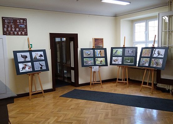 Nowa wystawa w holu Starostwa