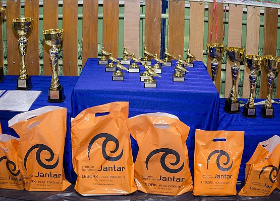 Nowowiejskie ptasie championy