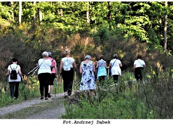 Trzysta procent normy