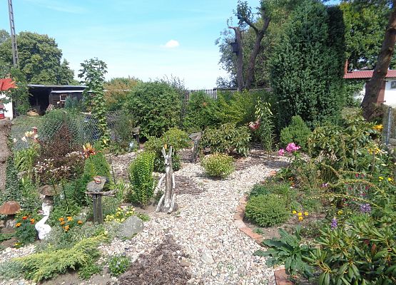 Protokół z podsumowania