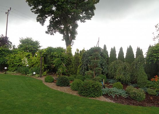 Protokół z podsumowania