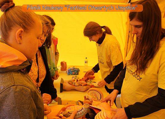 „FESTIWAL OTWARTYCH UMYSŁÓW” -
