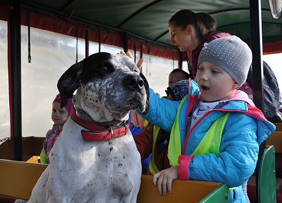 Piknik integracyjny „Jesteśmy
