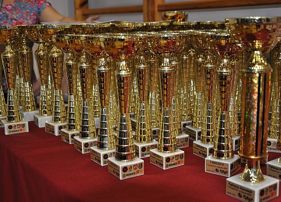 V Grand PRIX KARATE WKF Lębork