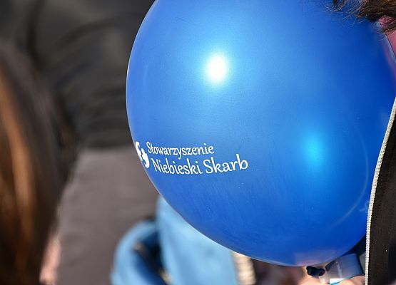 Marsz na Dzień Autyzmu