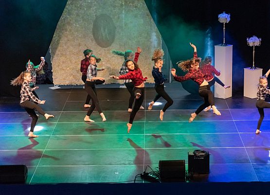 Miss Pomorza Środkowego Ziemi