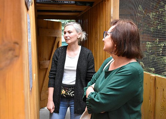 Starosta w „Ostoi”