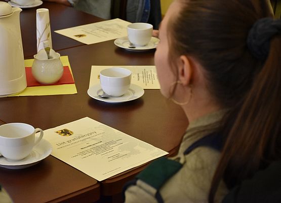 Zrozumieć samorząd