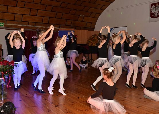 Powiatowy Dzień Edukacji