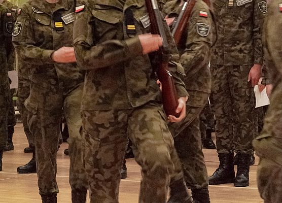 Mianowania i wyróżnienia w