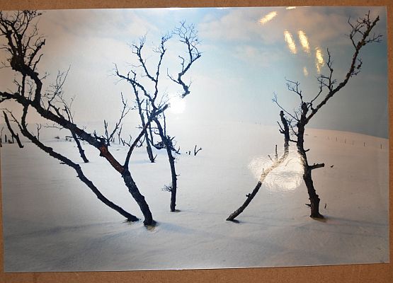 Niezwykłe fotografie w holu