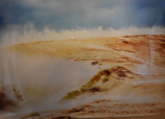 Niezwykłe fotografie w holu