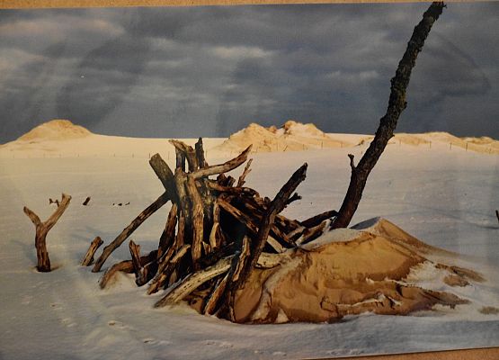 Niezwykłe fotografie w holu