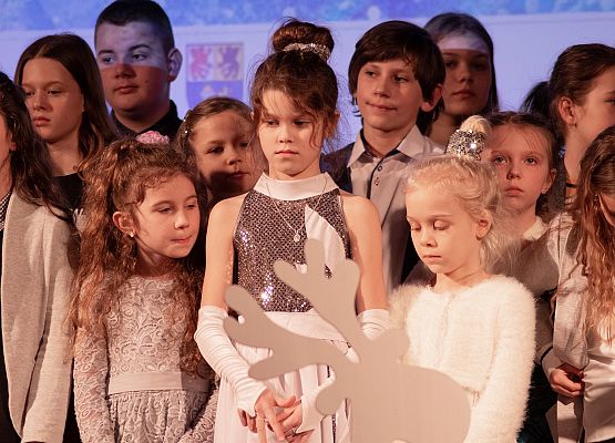 Najlepsza na zimę – piosenka