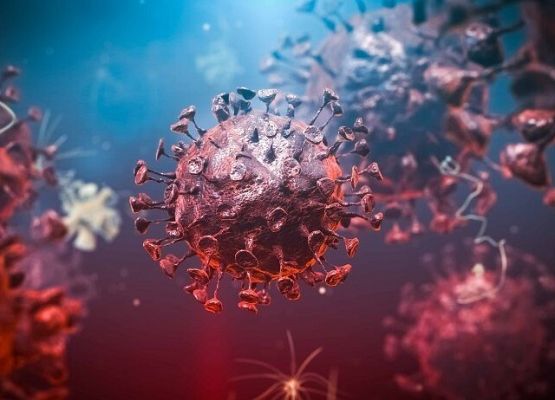 Materiały informacyjne Urzędu