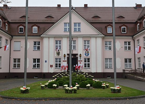 Chryzantemy na niepodległość