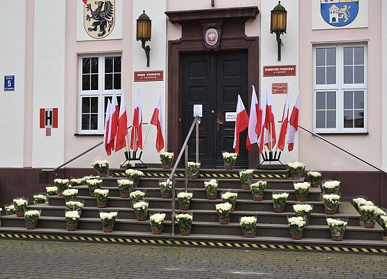 Chryzantemy na niepodległość