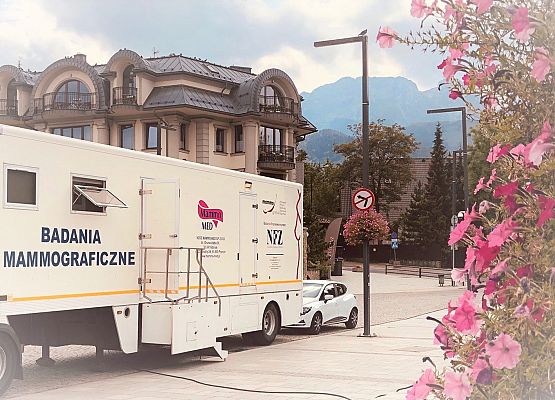 Mammobus przy starostwie