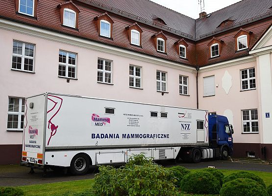 Mammobus pod starostwem