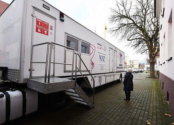 Mammobus pod starostwem