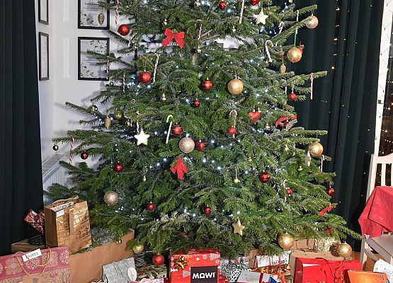 Bożonarodzeniowe drzewko w