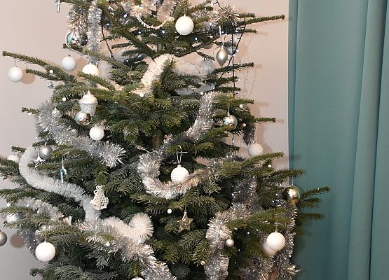 Bożonarodzeniowe drzewko w