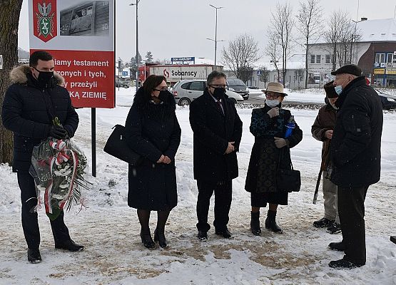 Krzysztof Król, Alicja