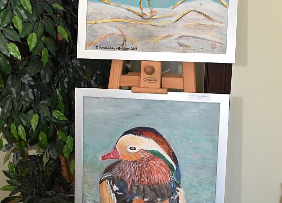 Obraz pt. "Sieweczka