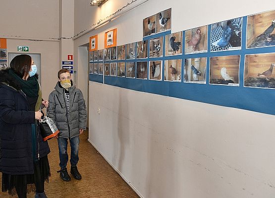 Część wystawy fotograficznej