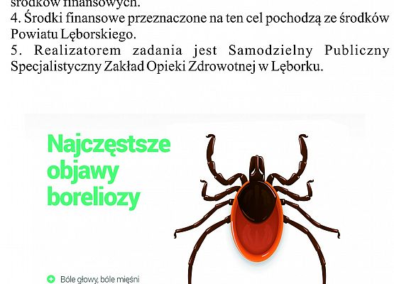 Informacja w wersji graficznej