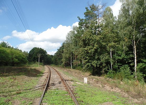Linia kolejowa nr 229 (Fot.