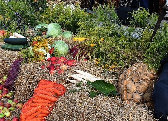 Fragment dożynkowej wystawy