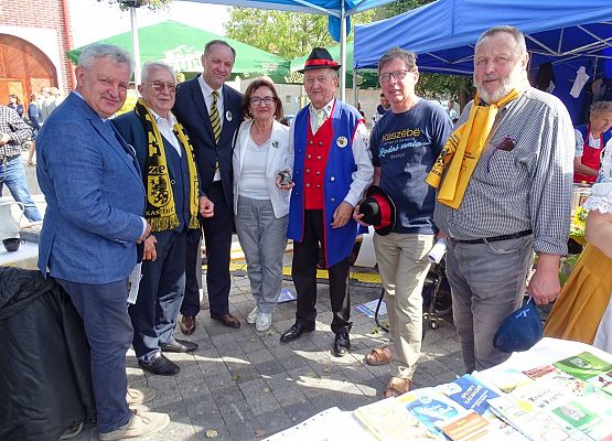 Starosta A.Zajączkowska w