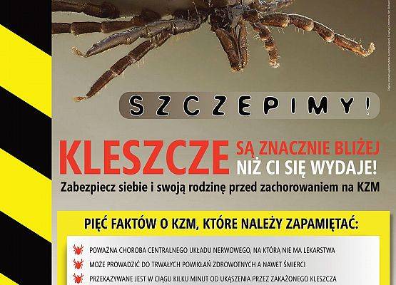 Pięć faktów o kleszczowym