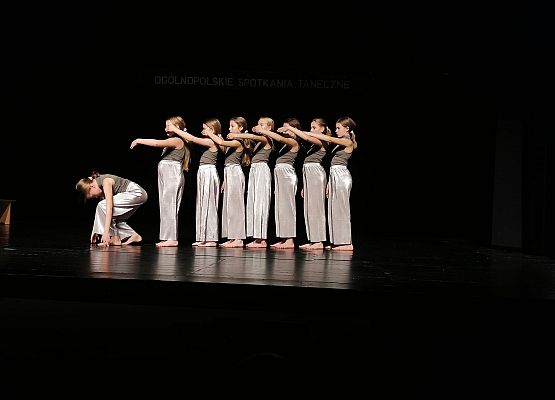 Prezentacja konkursowa zespołu