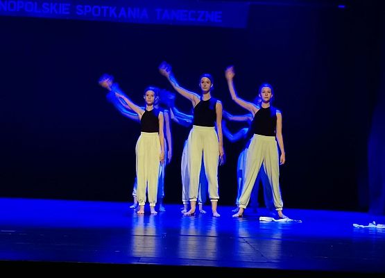 Prezentacja konkursowa zespołu