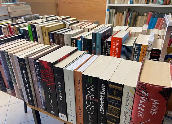 Nowe zasoby biblioteczne II