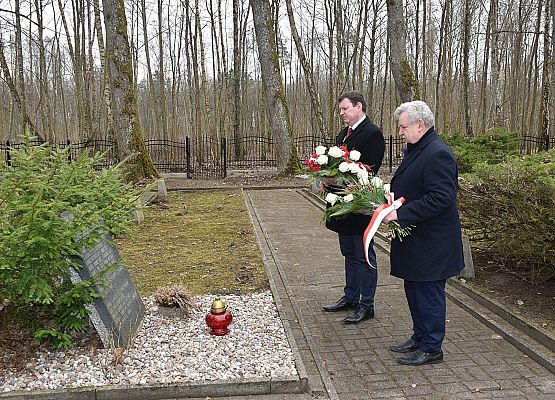 Kwiaty składają: ambasador