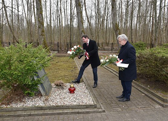 Kwiaty składają: ambasador