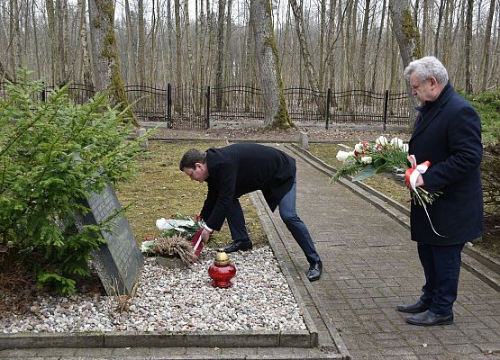 Kwiaty składają: ambasador