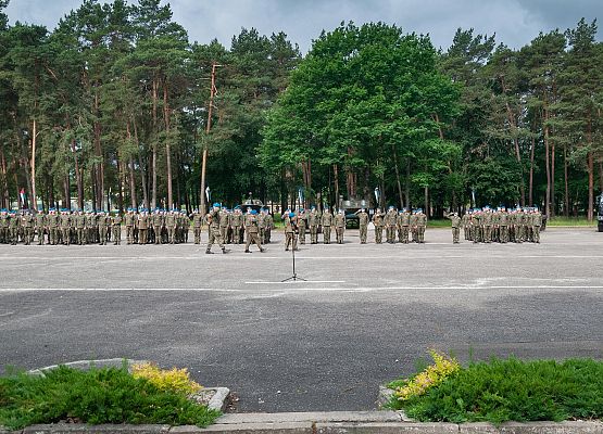 Przegląd pododdziałów